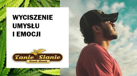 Wyciszenie umysłu i emocji – dlaczego warto się czasem zatrzymać