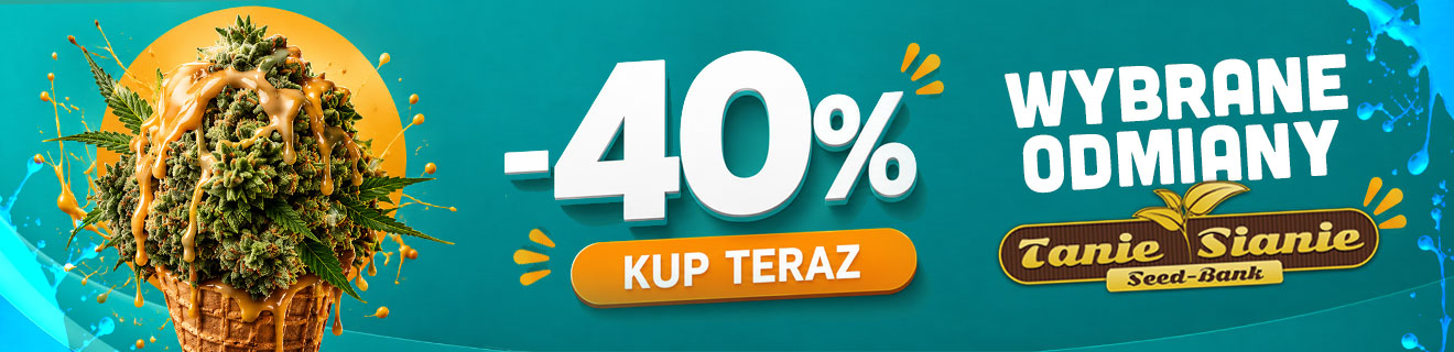-40 promocja taniesianie
