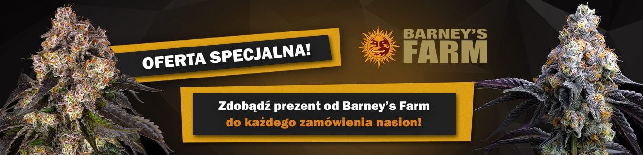 Barney Promo 