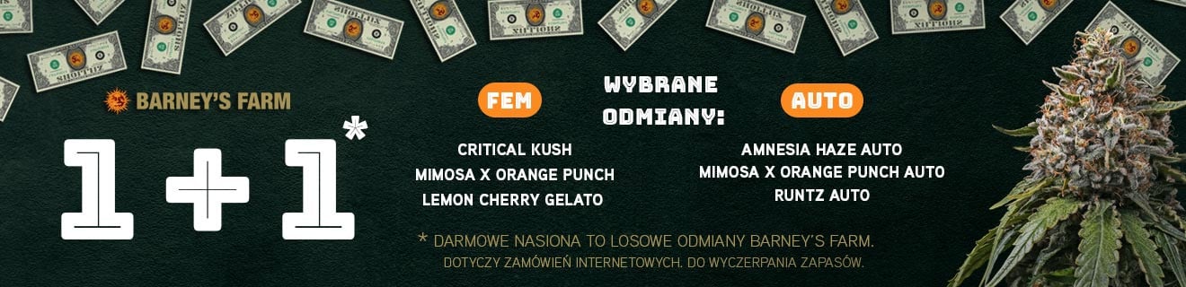 Promocja 1+1 Barneys Farm