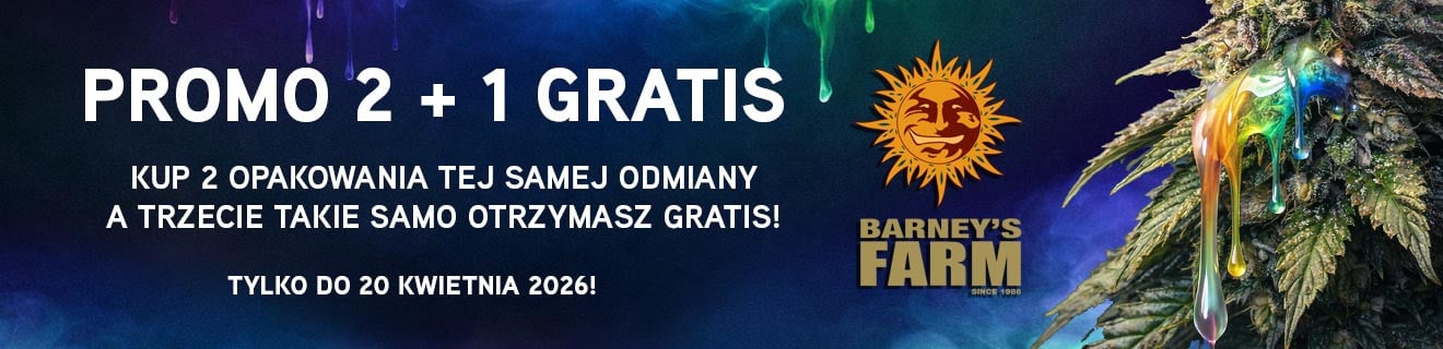 Promocja 2+1 Barneys Farm