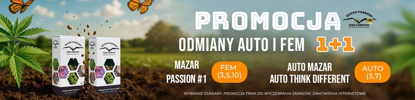 Dutch Passion Promo 