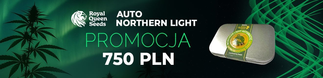 Northern Light Royal Queen Seeds Promo