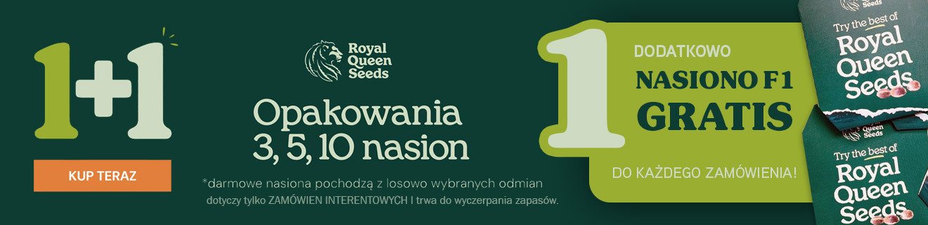 Royal Queen Seeds Promo